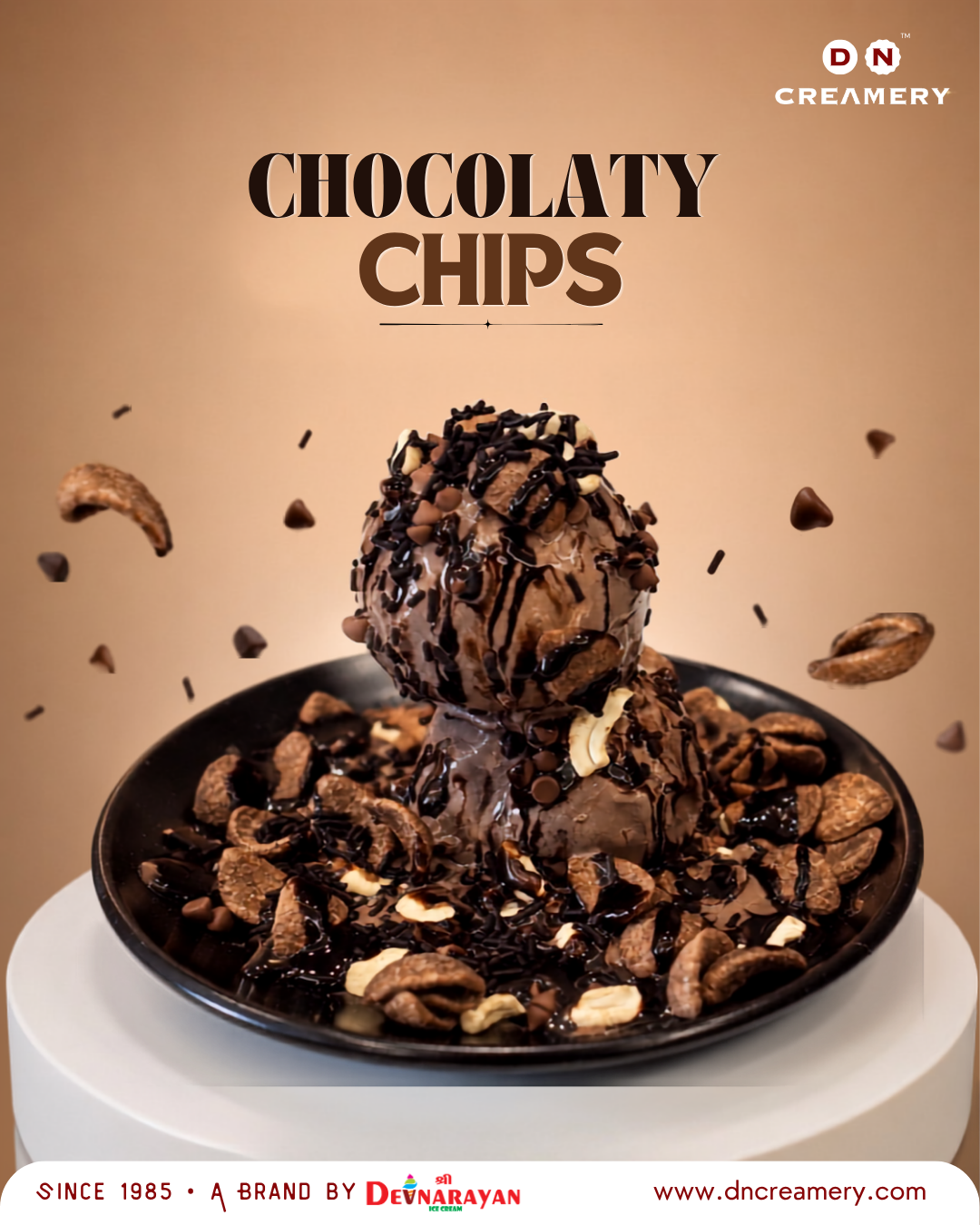 Chocolaty Chips — DN Creamery chocolate ice cream loaded with cashews and chocolate chips