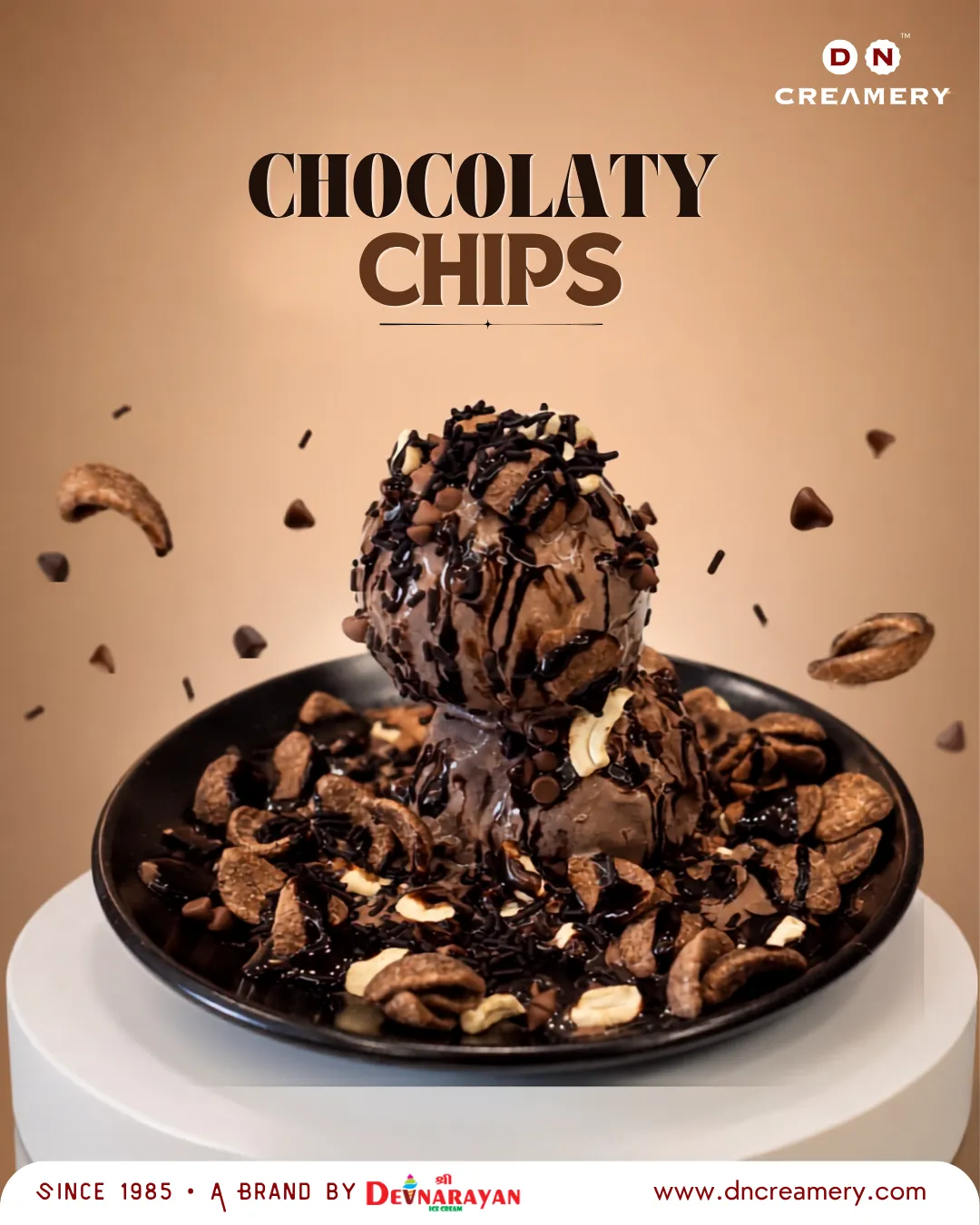 Chocolaty Chips — DN Creamery chocolate ice cream loaded with cashews and chocolate chips